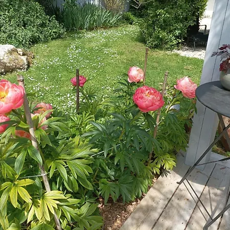 Autour Du Puits Bed & Breakfast Varzay