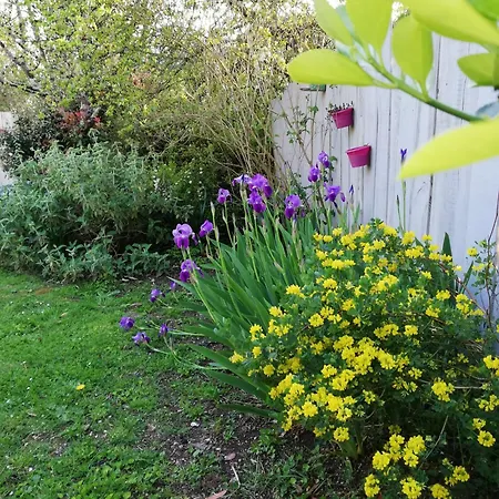 Autour Du Puits Bed & Breakfast