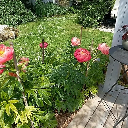 Bed & Breakfast Autour Du Puits Varzay