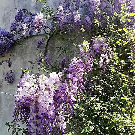 Bed & Breakfast Autour Du Puits